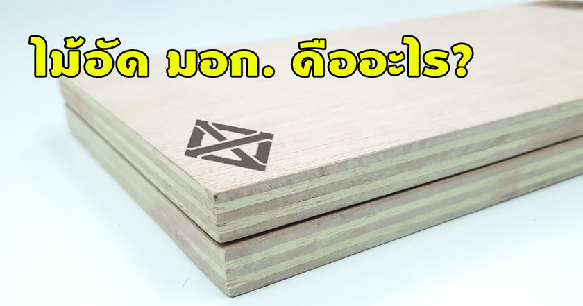ไม้อัด มอก.